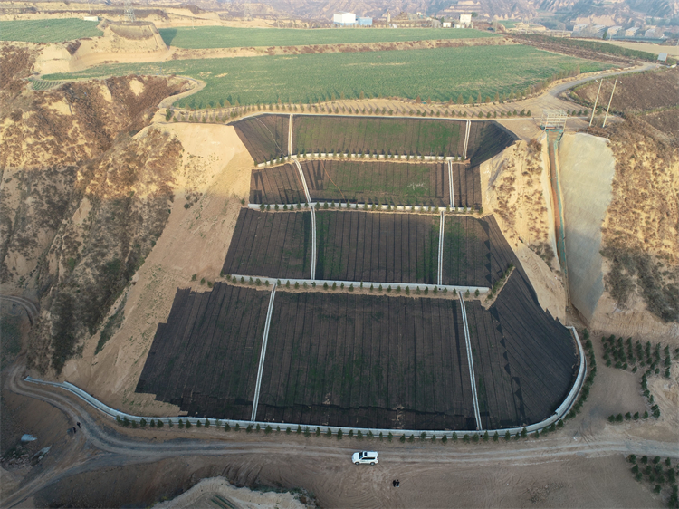 63b7713b29407.jpg 2.jpg